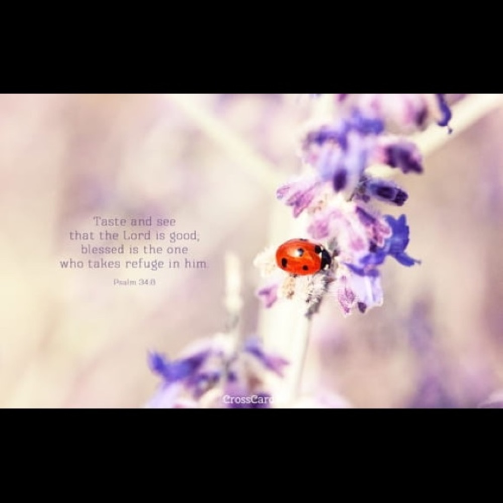 Meet your Posher, Mia lyn